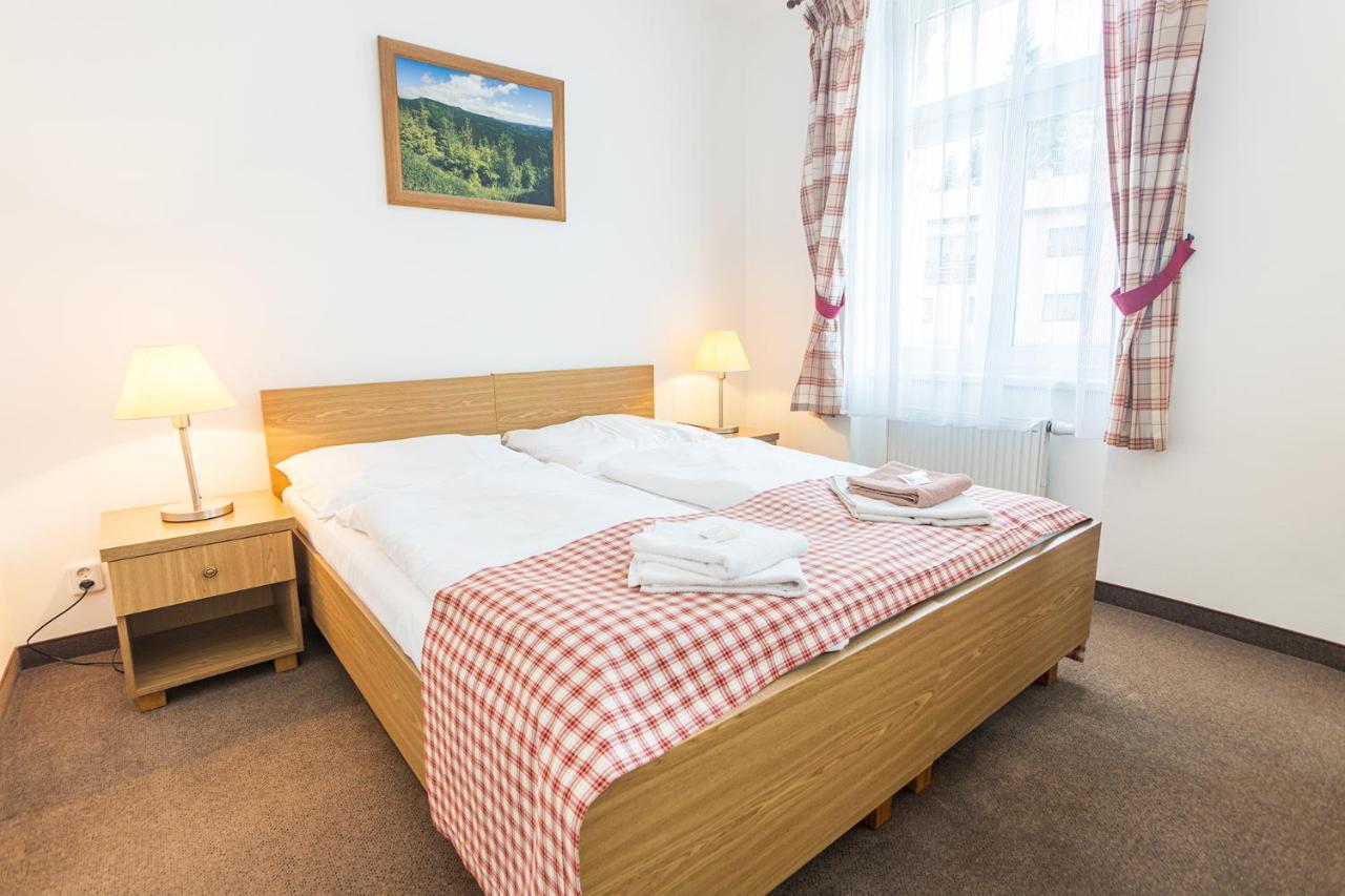 Hotel Seifert Nové Hamry Екстериор снимка